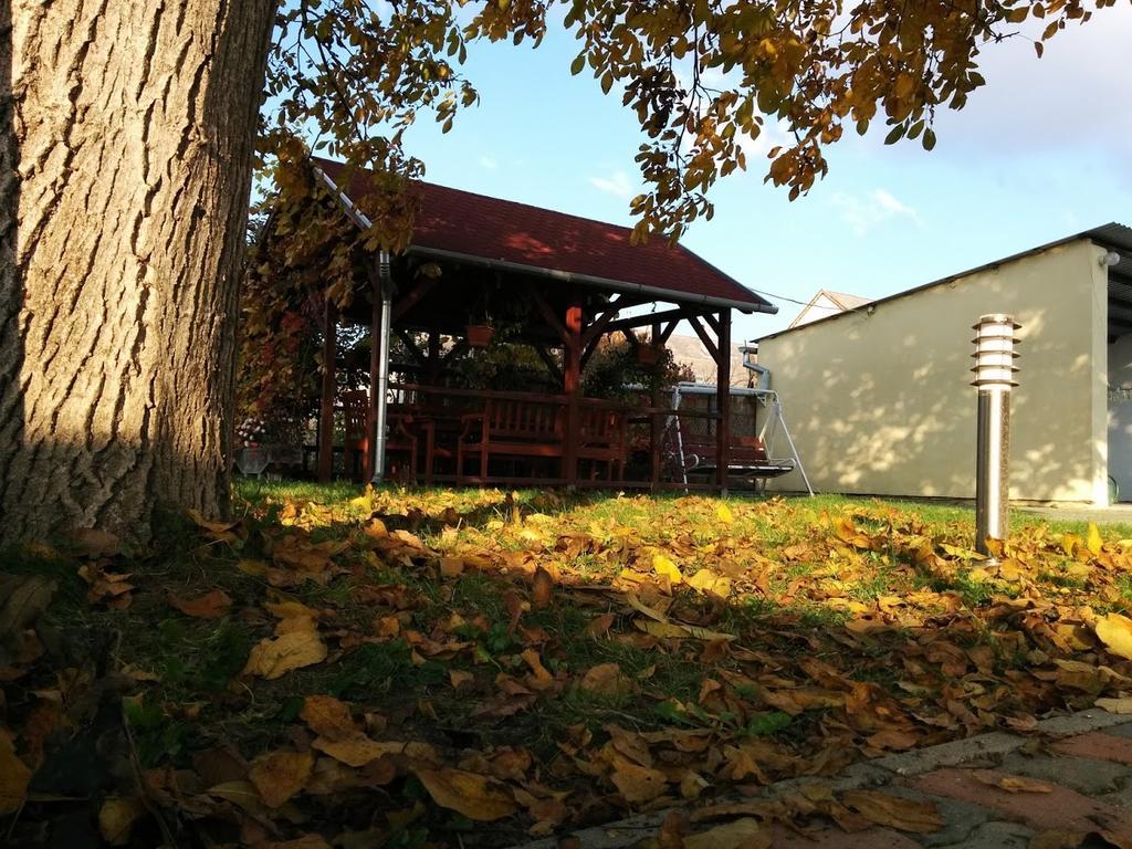 Globus Guesthouse, Vendeghaz Sormás Exterior foto